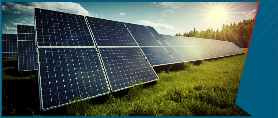 Solar Farm Case Study